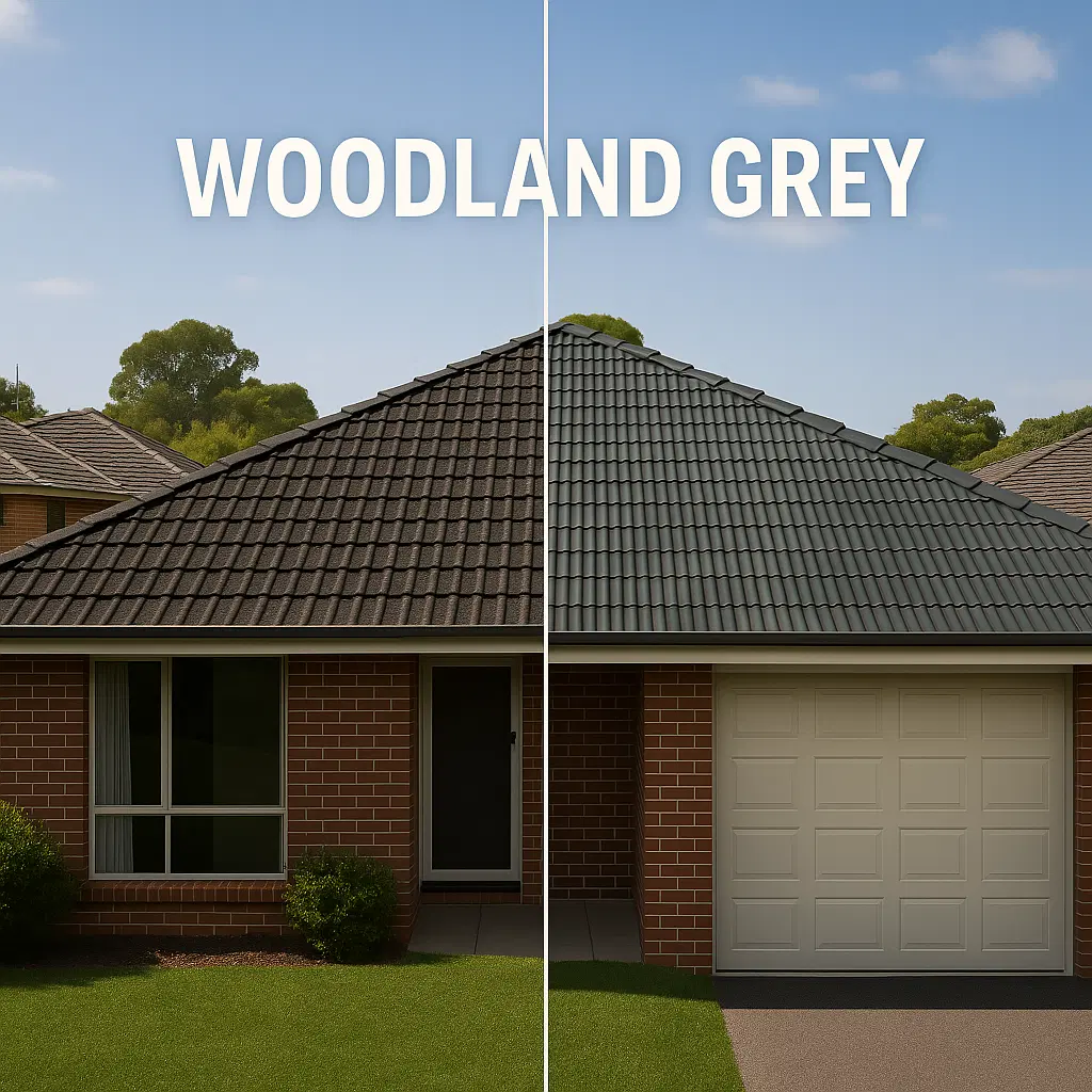 Metal roof painting in Woodland Grey colour